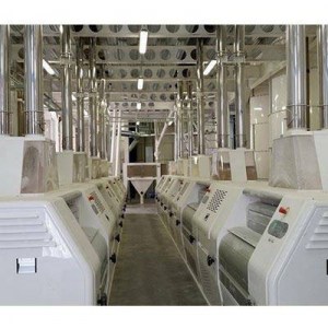 Lignes, équipements pour transformation du blé, maïs en farine